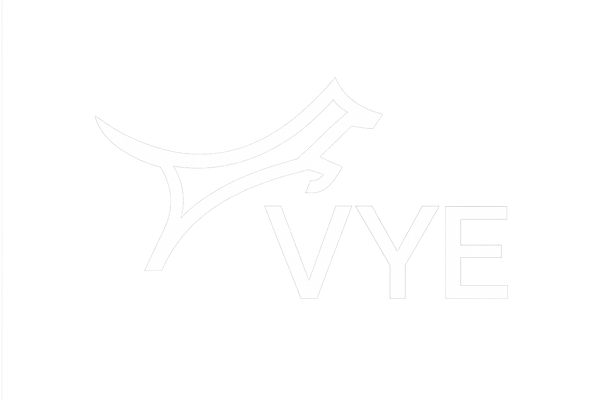 Vye Agility